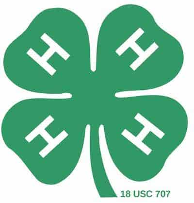 4H Programs