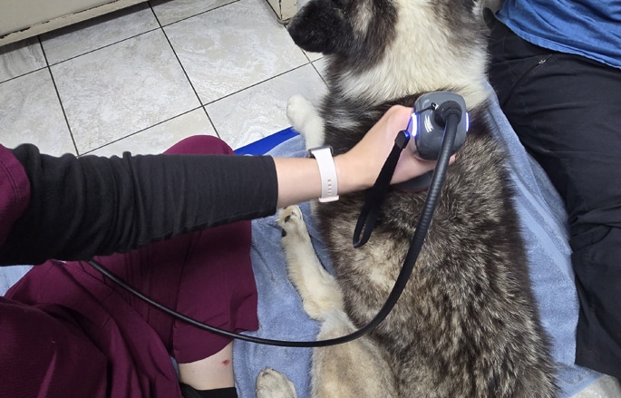 Cold Laser Therapy