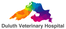 Duluth Veterinary Hospital